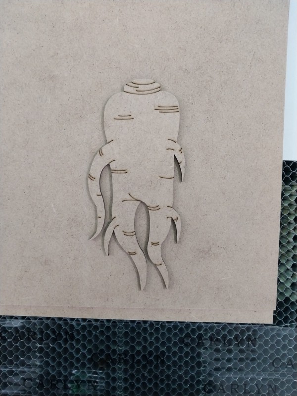 thumb